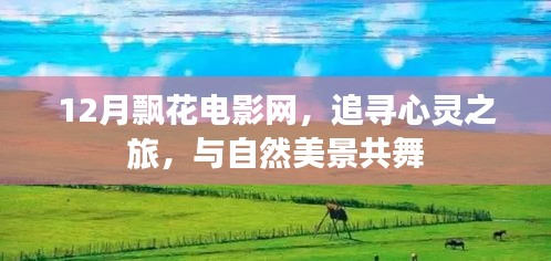 12月飘花电影网，心灵之旅与自然美景的共舞之旅