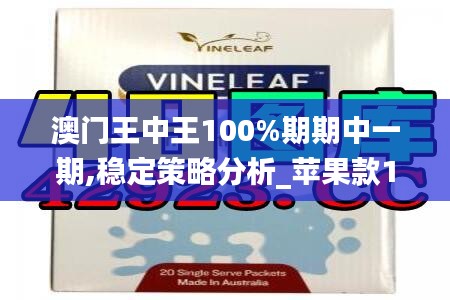 澳门王中王100%期期中一期,稳定策略分析_苹果款13.987