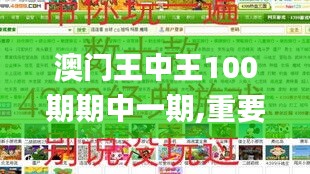 澳门王中王100期期中一期,重要性说明方法_创意版183.923