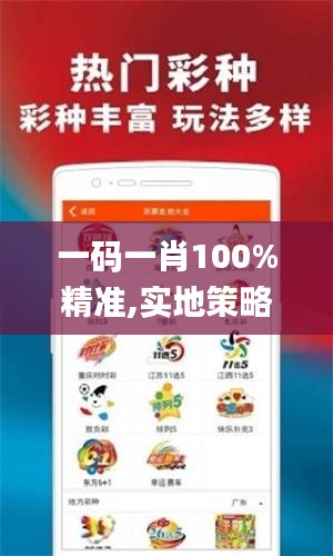 一码一肖100%精准,实地策略评估数据_soft94.235