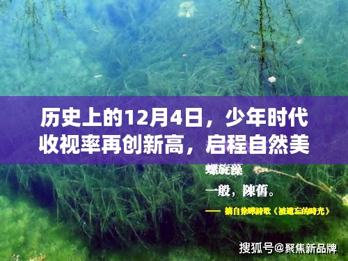 少年时代收视率再创新高，启程自然美景之旅，探寻内心的平和宁静——历史12月4日回顾