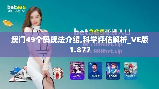 澳门49个码玩法介绍,科学评估解析_VE版1.877