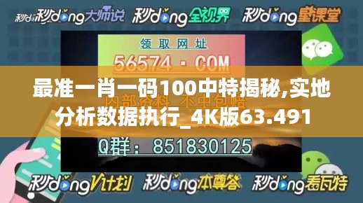 最准一肖一码100中特揭秘,实地分析数据执行_4K版63.491