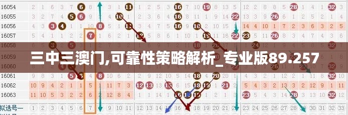 三中三澳门,可靠性策略解析_专业版89.257