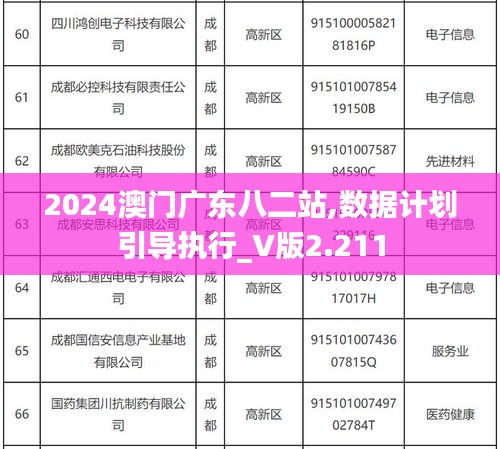 2024澳门广东八二站,数据计划引导执行_V版2.211