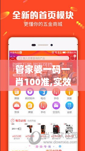 管家婆一码一肖100准,实效设计计划解析_储蓄版7.728