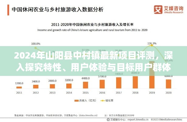 山阳县中村镇新项目评测报告，特性深度解析、用户体验与目标用户群体分析