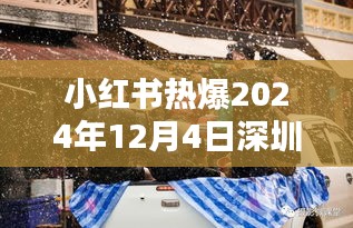 小红书热爆深圳新动态，深圳惊喜连连迎2024年12月4日盛事！