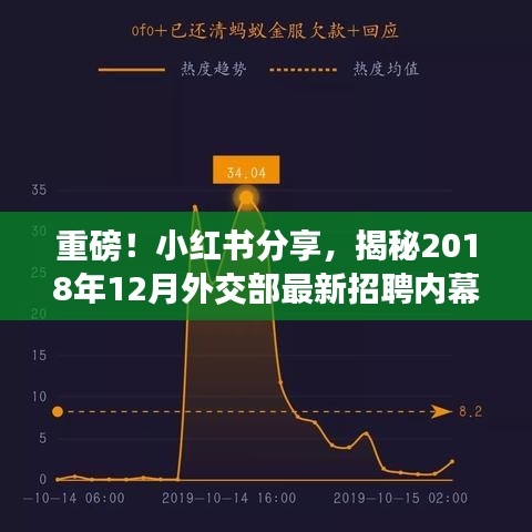 揭秘小红书分享，外交部最新招聘内幕揭秘，机会难得，速速关注！