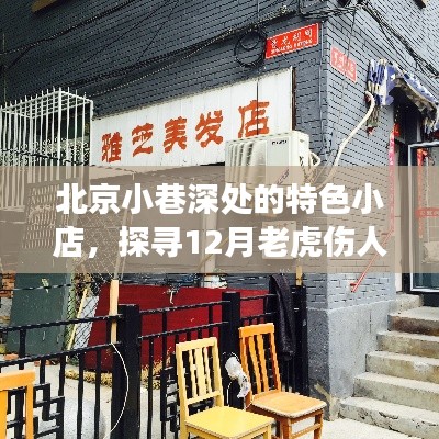 北京小巷特色小店探寻，揭秘老虎伤人事件背后的故事