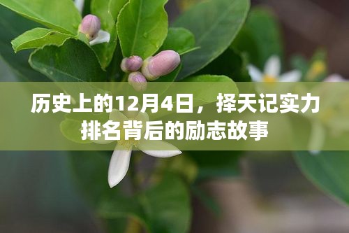 择天记实力排名背后的励志故事，回望历史上的12月4日