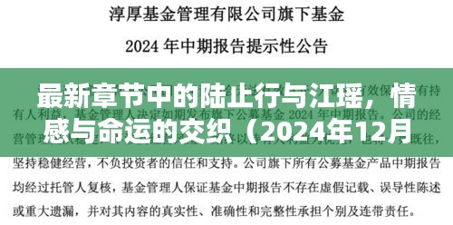 2024年12月5日 第2页