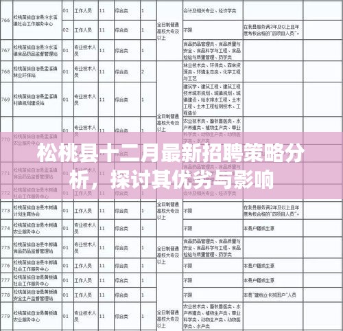 松桃县十二月招聘策略深度解析，优劣势及其影响探讨