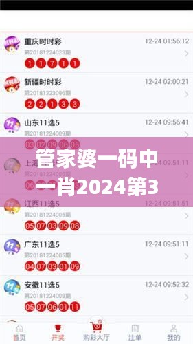 管家婆一码中一肖2024第341期,科学评估解析_钻石版7.139