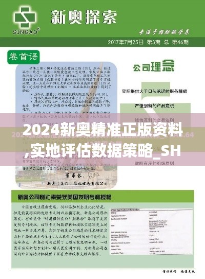 2024新奥精准正版资料,实地评估数据策略_SHD8.239