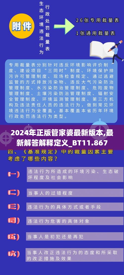 2024年正版管家婆最新版本,最新解答解释定义_BT11.867