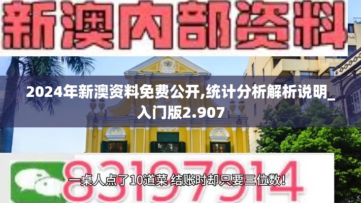 2024年新澳资料免费公开,统计分析解析说明_入门版2.907