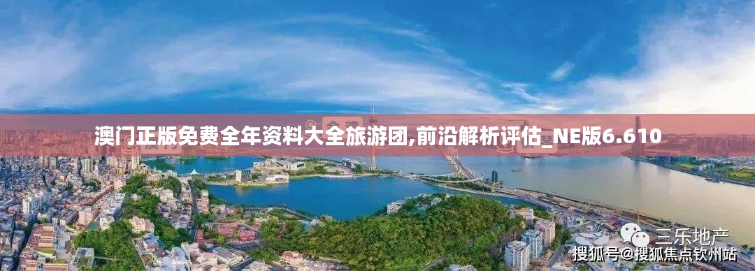 澳门正版免费全年资料大全旅游团,前沿解析评估_NE版6.610