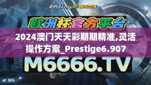 2024澳门天天彩期期精准,灵活操作方案_Prestige6.907