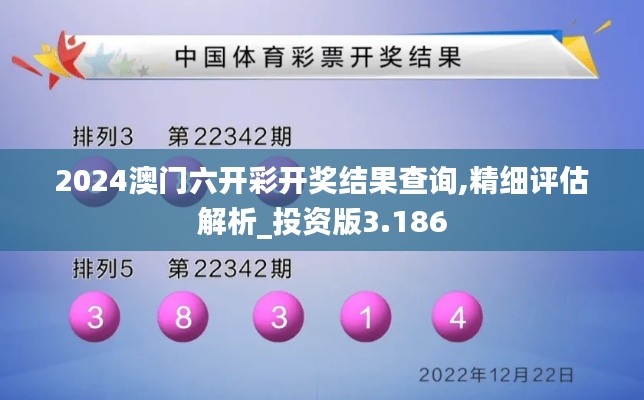 2024澳门六开彩开奖结果查询,精细评估解析_投资版3.186