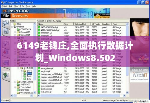 6149老钱庄,全面执行数据计划_Windows8.502