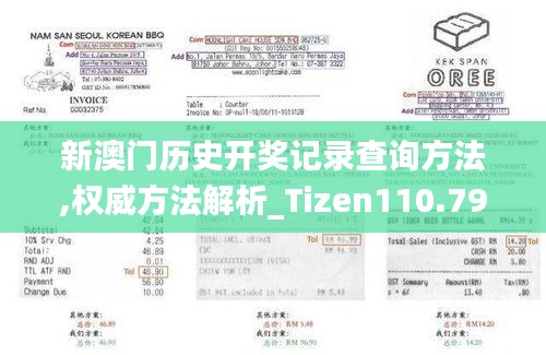 新澳门历史开奖记录查询方法,权威方法解析_Tizen110.795