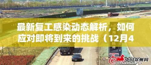 最新复工感染动态解析及应对挑战策略（12月4日更新版）