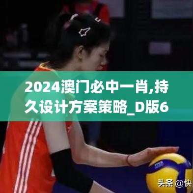 2024澳门必中一肖,持久设计方案策略_D版6.893