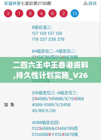 二四六王中王香港资料,持久性计划实施_V26.801