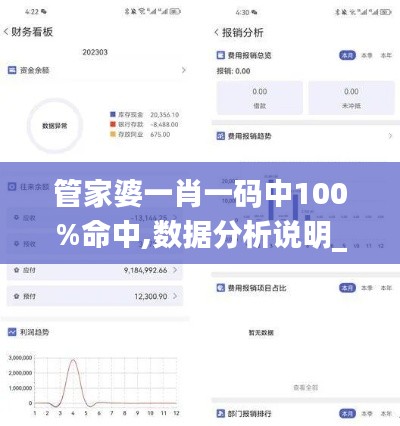 管家婆一肖一码中100%命中,数据分析说明_AP16.948