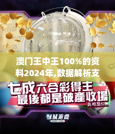 澳门王中王100%的资料2024年,数据解析支持计划_Holo6.746