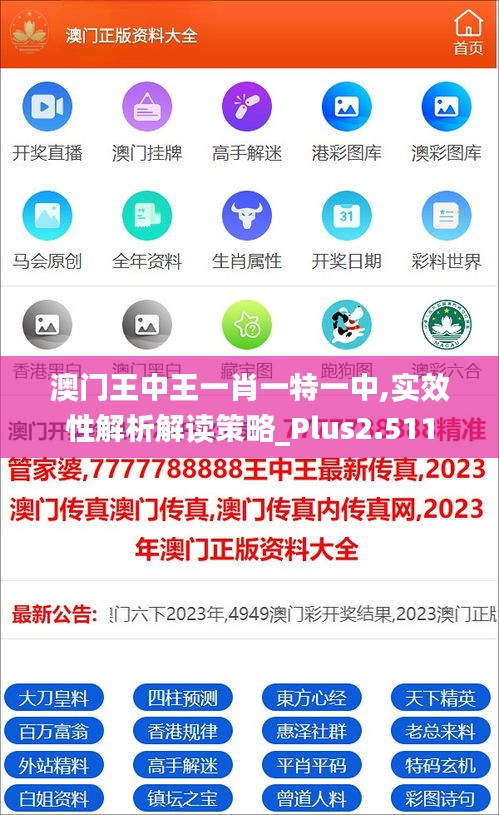 澳门王中王一肖一特一中,实效性解析解读策略_Plus2.511