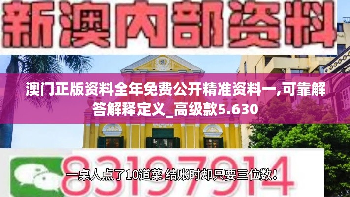 澳门正版资料全年免费公开精准资料一,可靠解答解释定义_高级款5.630