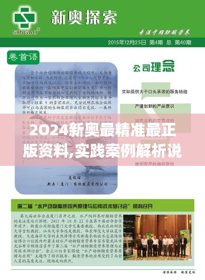 2O24新奥最精准最正版资料,实践案例解析说明_限量款8.761