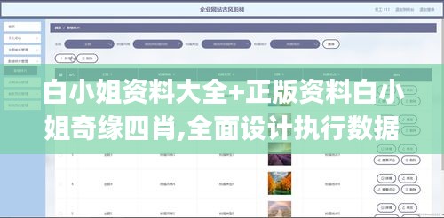 白小姐资料大全+正版资料白小姐奇缘四肖,全面设计执行数据_XP12.923