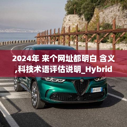 2024年 来个网址都明白 含义,科技术语评估说明_Hybrid3.207