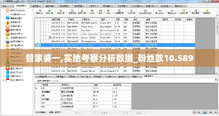 管家婆一,实地考察分析数据_粉丝款10.589