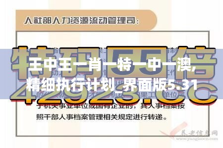 王中王一肖一特一中一澳,精细执行计划_界面版5.318