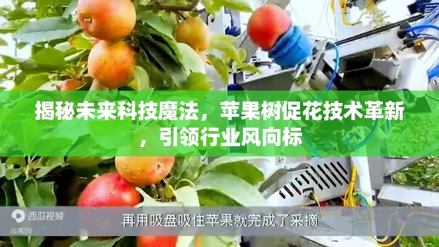 揭秘未来科技魔法，苹果树促花技术革新引领行业新潮流