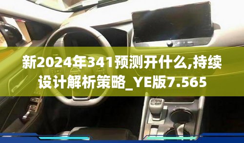 新2024年341预测开什么,持续设计解析策略_YE版7.565