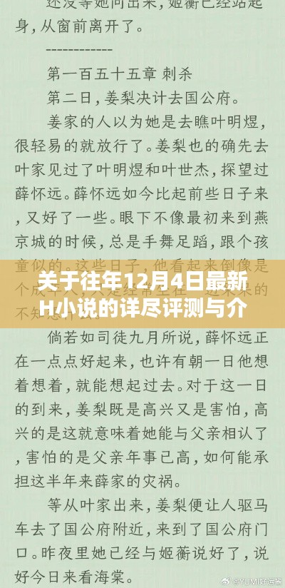 关于往年12月4日H小说的深度测评与涉黄警示