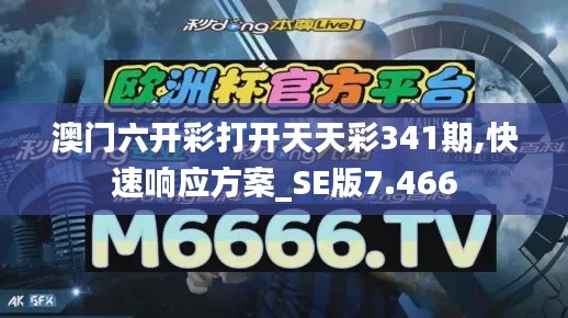 澳门六开彩打开天天彩341期,快速响应方案_SE版7.466