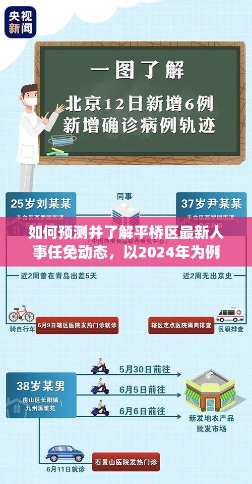 平桥区人事任免动态预测，洞悉未来人事变动趋势（以2024年为例）