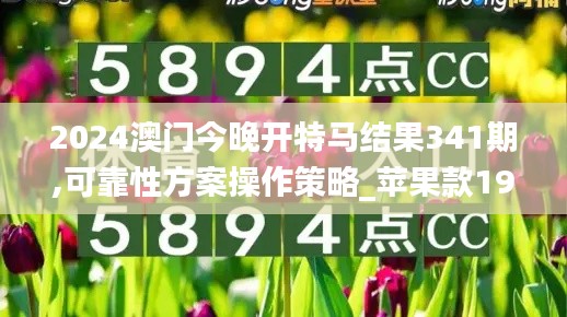 2024澳门今晚开特马结果341期,可靠性方案操作策略_苹果款19.532