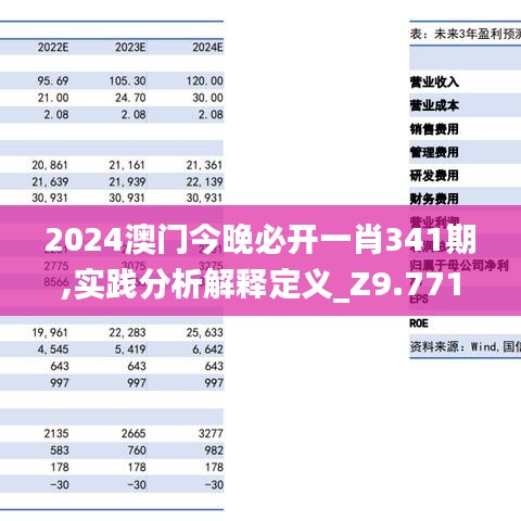 2024澳门今晚必开一肖341期,实践分析解释定义_Z9.771