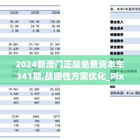 2024新澳门正版免费资本车341期,战略性方案优化_Pixel19.776