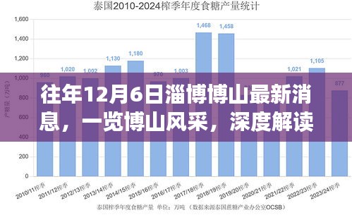 往年12月6日淄博博山最新消息回顾，博山风采与发展深度解读