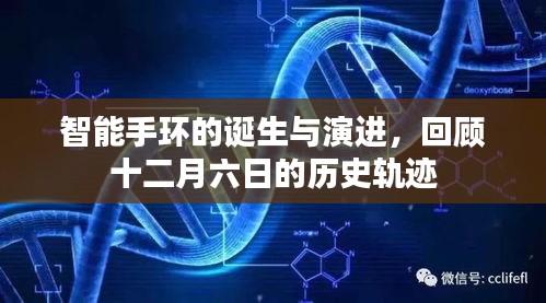 智能手环的诞生与演进历程回顾，十二月六日的历史轨迹解析