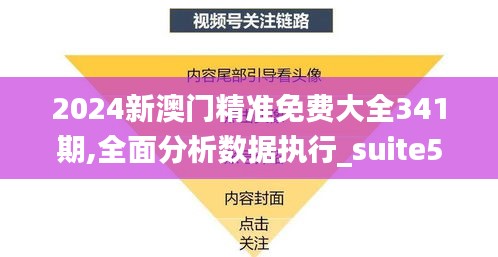 2024新澳门精准免费大全341期,全面分析数据执行_suite5.356