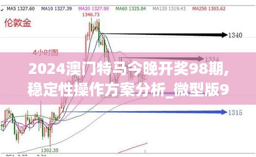 2024澳门特马今晚开奖98期,稳定性操作方案分析_微型版9.858